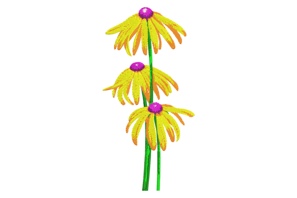 Black Eyed Susan Flowers: A Designer’s Review