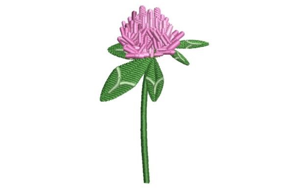 Clover Flower: A Designer’s Review for Real Projects