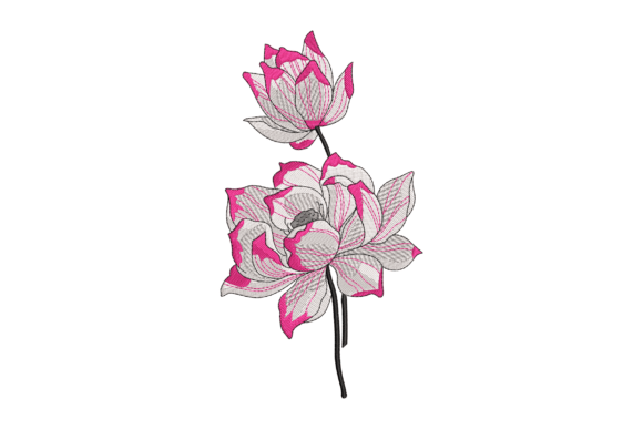 Reviewing the Delicate Lotus Blossom Design